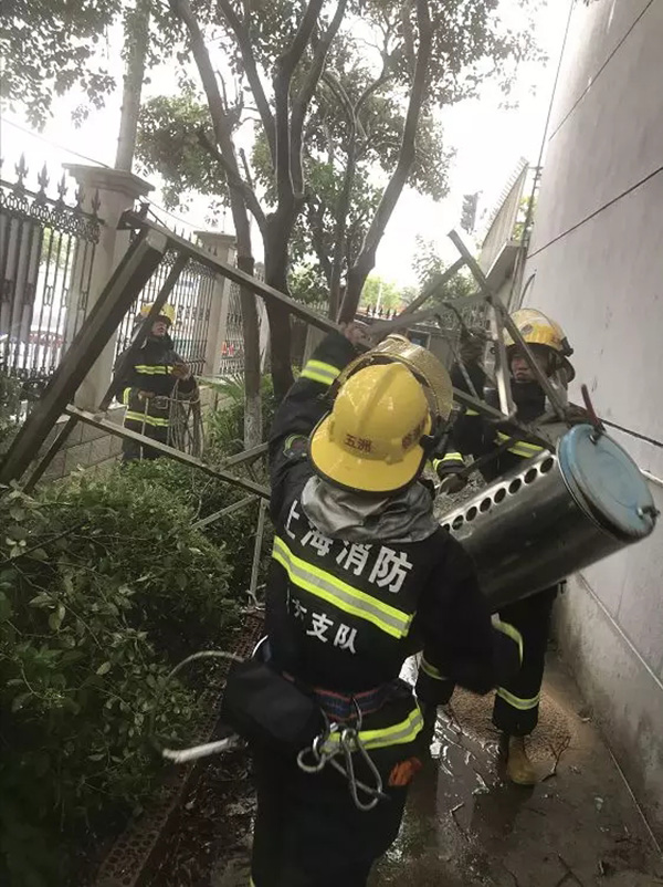 管家婆正版四不像图一肖