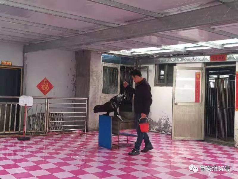 ▲3月2日,东恒海洋馆驯养的海狮。新京报记者 康佳 摄
