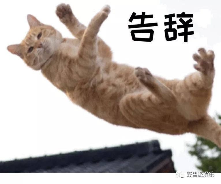 他俩因为这张“坐怀不乱”照传了恋情?