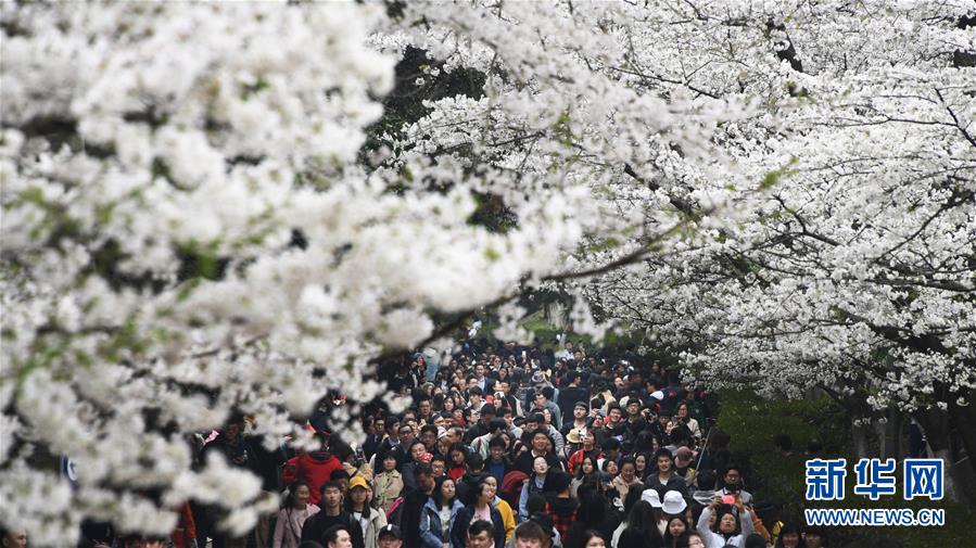 上半年 這些科學新成果或改變你我生活