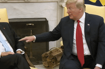 365_241 gif 动态图 动图