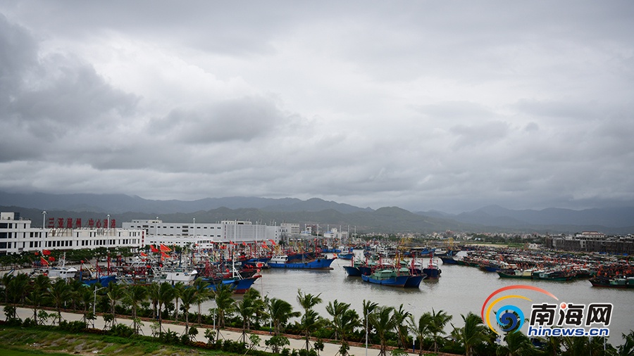 上海借卵自怀费用,习惯性流产因素