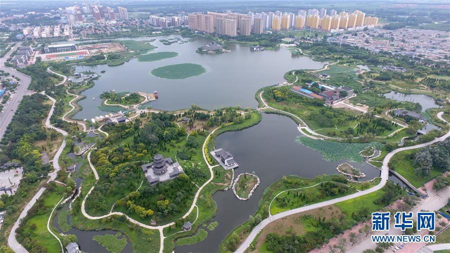 2019年全国三跤总决赛:广西摔跤队开启"吸金"模式