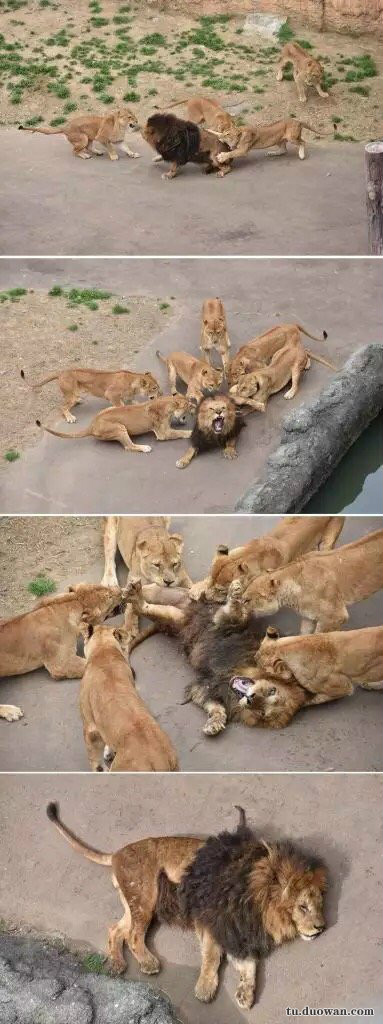 春天到了万物复苏的季节 每日轻松一刻3月24日周末版