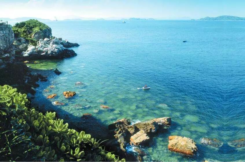 深圳吃货注意!史上最长休渔期结束,海鲜价格将