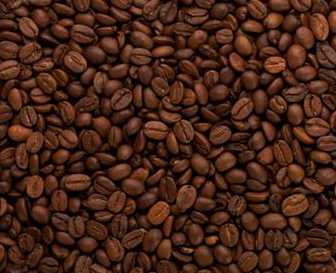 什么咖啡提神效果最好