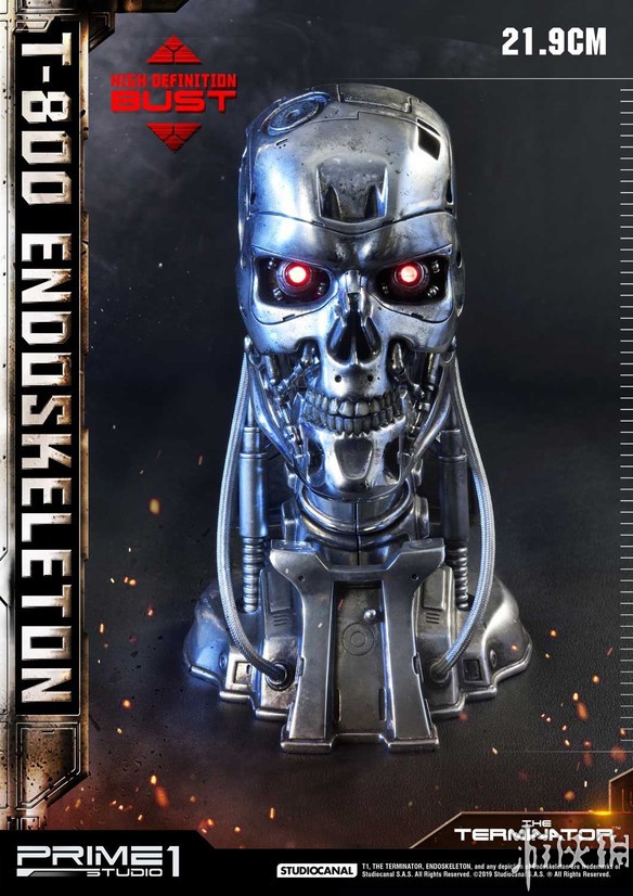 սT-800ղؼͷģ͹ ʸͳɫ