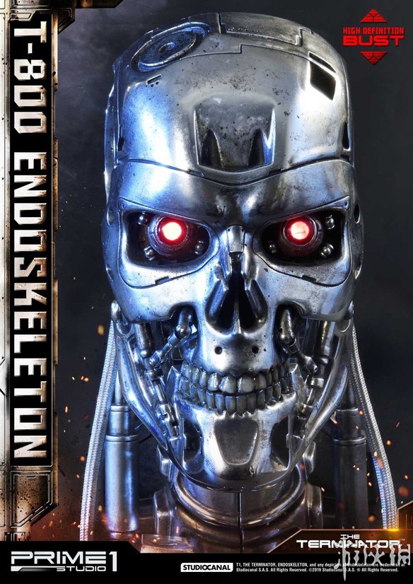 սT-800ղؼͷģ͹ ʸͳɫ