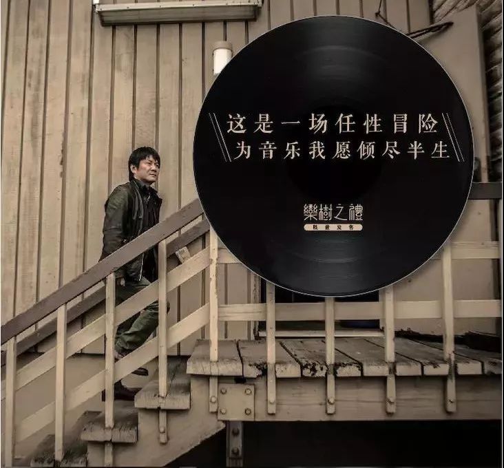 栾树：一生所爱