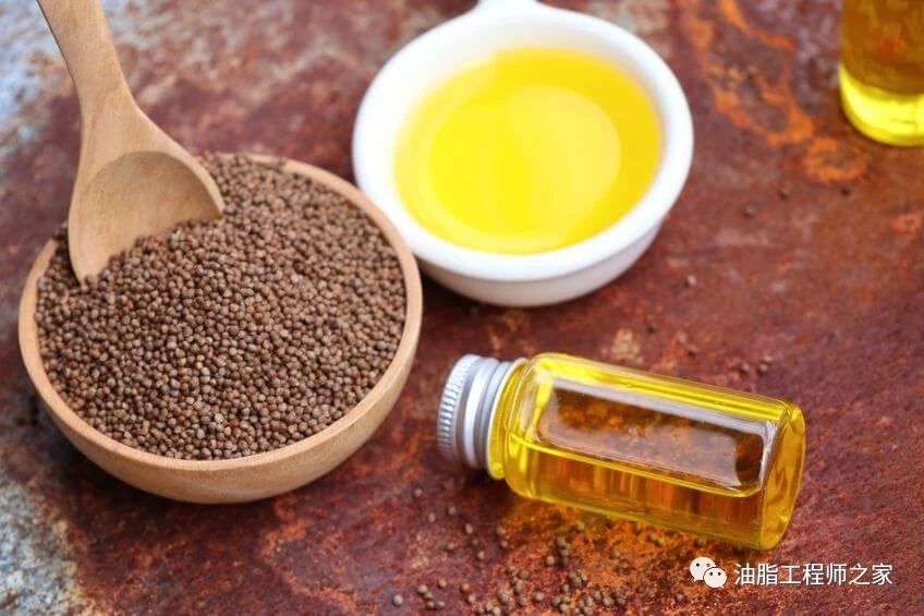 植物中的深海鱼油--紫苏籽油