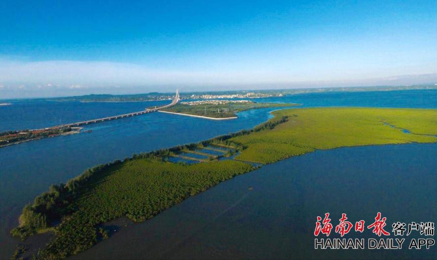 新澳门精准免费大全,实证释义解释落实