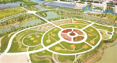 南通“鲜花小镇” 打造“美丽经济”