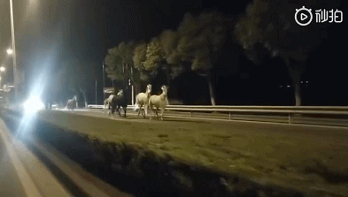 春天到了万物复苏的季节 每日轻松一刻3月24日周末版