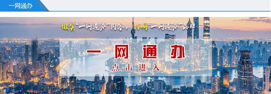 ▲上海“一网通办”页面截图