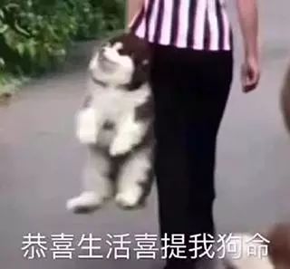 男星上位史——被资本睡服后沦为双插头的“强推之耻”