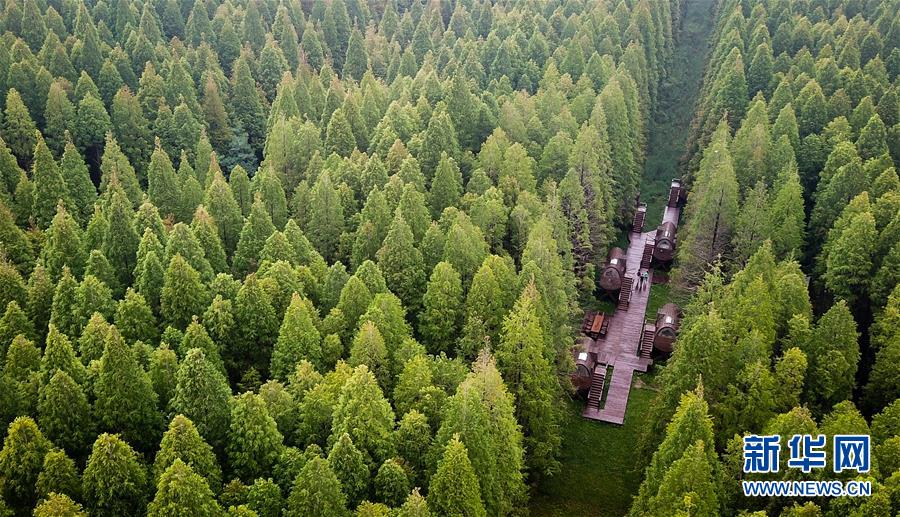 中国举重队收获第5金：雯雯出场 稳稳夺金