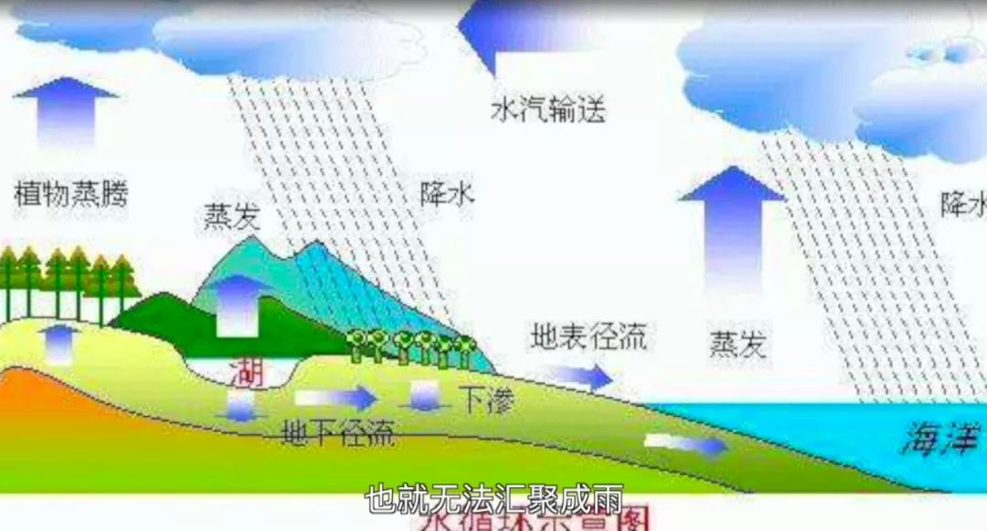 解读十九大第八集:党的领导、人民当家作主与