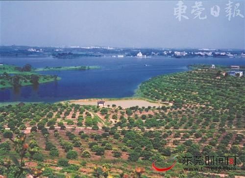 科技共山水一色--镜头里的松山湖沧桑巨变