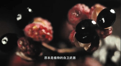 《风味人间》如何捕捉香臭两重天