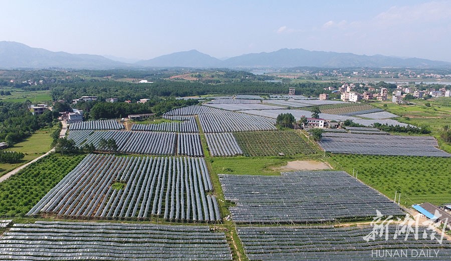 一村一品 振兴乡村