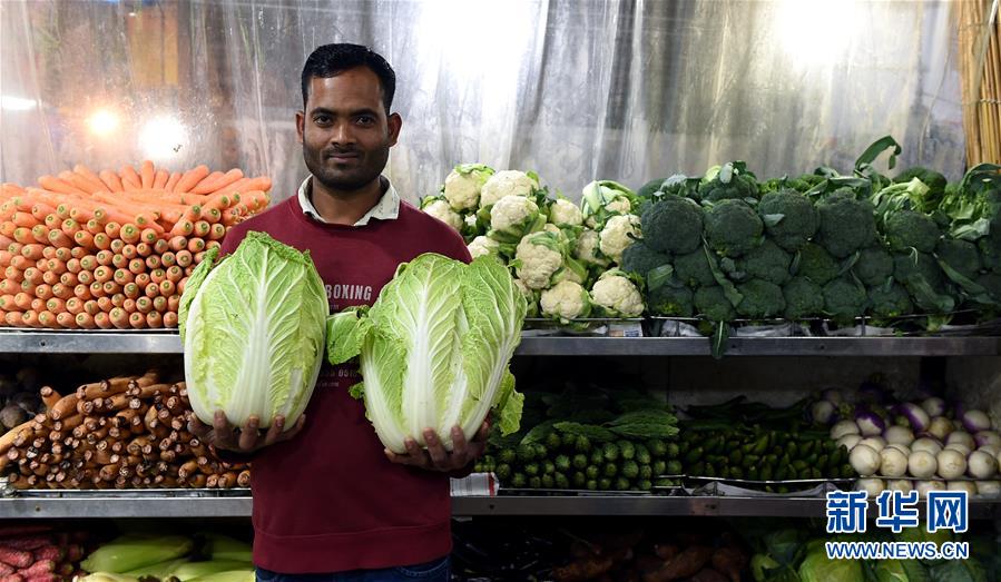 從綠茵熱血到指尖藝術：解鎖足球過關的翻倍密碼與進階博弈學 