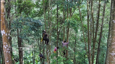 《风味人间》如何捕捉香臭两重天