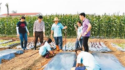 在美国“务农”是怎样的体验？分享美国的生态农场点滴...