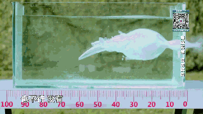 电影里的水下枪战是真的吗?测试结果让人目瞪口呆