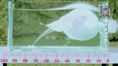 电影里的水下枪战是真的吗?测试结果让人目瞪口呆