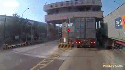 我们一起学喵叫，一起喵喵喵喵？