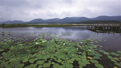 和县：奏响高质量发展最强音