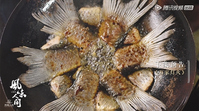 2018纪录片接地气 有趣好玩涨知识