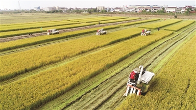 追梦路上,海安目标“走在前列”