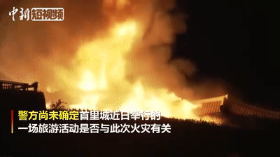 最新国际娱乐新闻稿 - 美大批F22进驻中东,直接对准伊朗,一旦开打或首先摧毁这一目标
