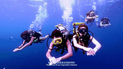 潜导」o(∩_∩)o 潜水教练预备役,2018换个活儿法