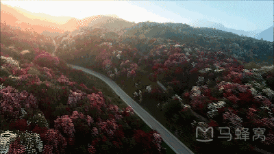 广西贵州100个景点免费或半价！广东人拿身份证就能享受！