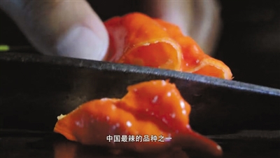 《风味人间》如何捕捉香臭两重天