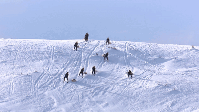 阿勒泰多少人口_阿勒泰地区的总人口是多少 维族占比多少 哈族占比多少(3)