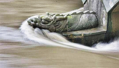 雨落水涨 锦江大桥现龙漱口