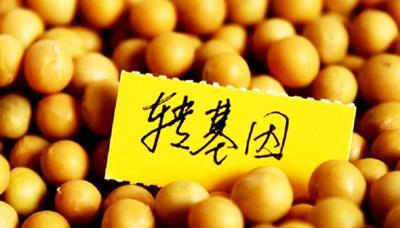 无奈之举 中国转基因大豆有望进入阿根廷商业化种植