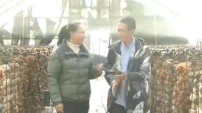 am8.com官网手机版|论基因的强大,国外网友分享照片不仅像爹妈,几代先祖也神似不已