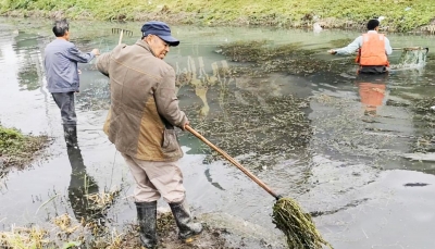 大爷组合自制工具 清理水草确保河流畅通