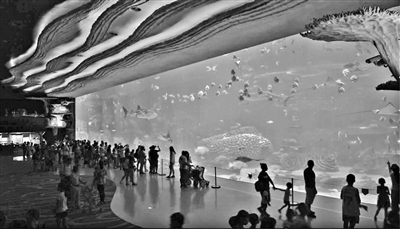 极地海洋主题公园将落户汤山