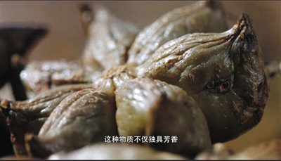 《风味人间》如何捕捉香臭两重天