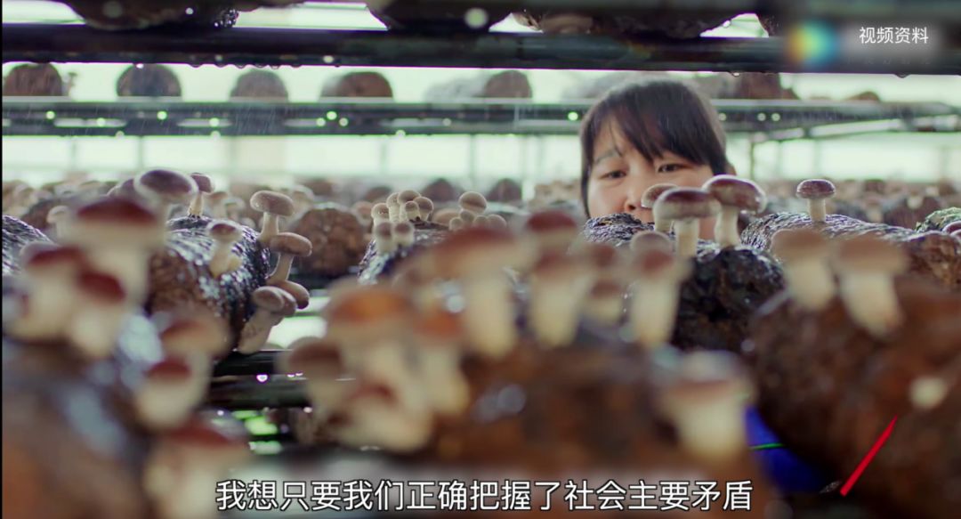 理论达人解读十九大第25集：社会主要矛盾变化怎么看（微视频）