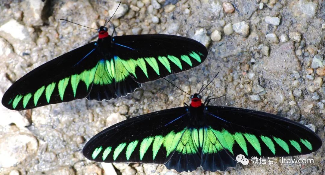 独处与自由的意义 如何通过独处获得心灵解放