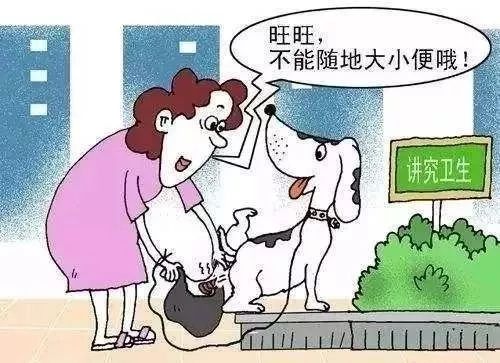 狗狗随地大小便惹人烦,深圳市民建议设置"遛狗专区"