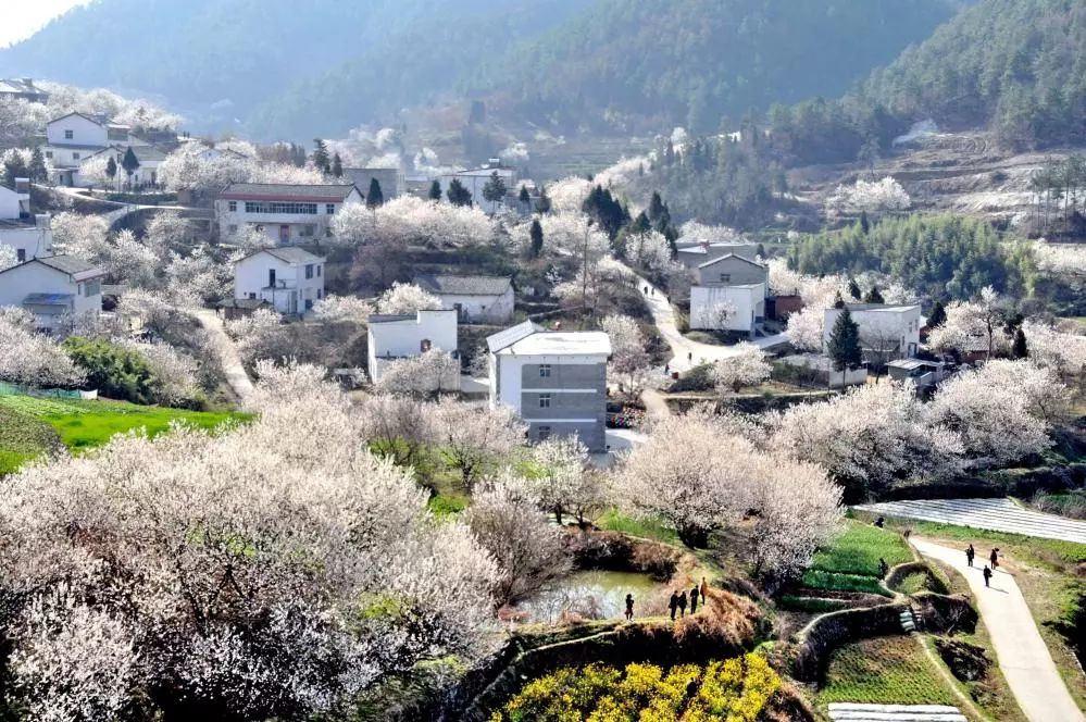 重磅!河北农村宅基地、承包地最新改革措施来