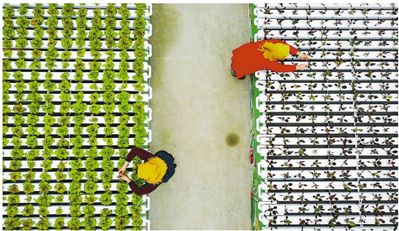 海州区浦南镇gdp_海州区浦南镇徐飞