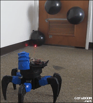 同九年，汝何秀？